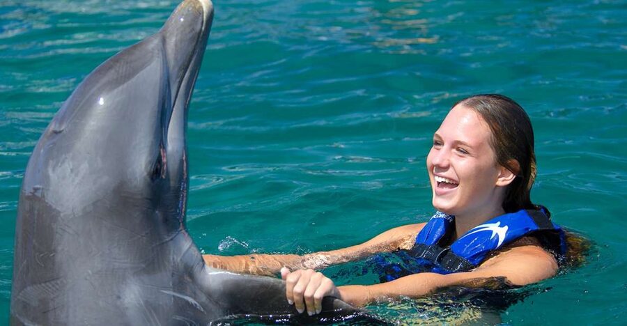 Punta Cana: Dolphin Explorer Swims and Interactions - What to pack, and what to leave at home