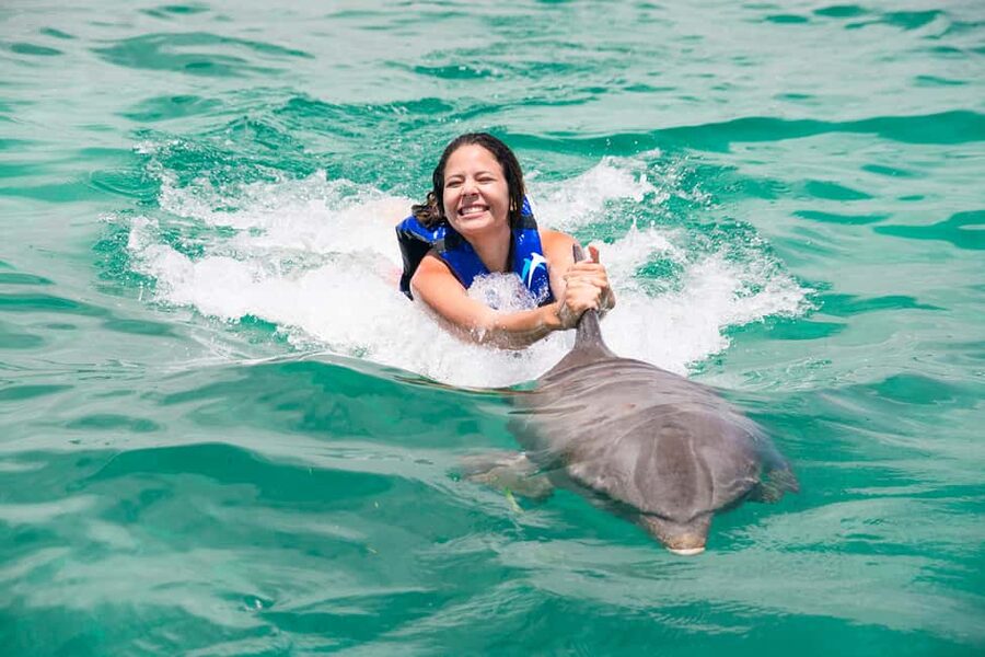 Punta Cana: Dolphin Explorer Swims and Interactions - Who this dolphin swim suits, and who should skip it