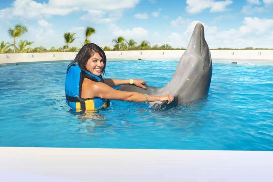Punta Cana: Dolphin Interaction Experience & Hotel Transfers - Punta Cana Dolphin Interaction, Plus Hotel Transfers That Save Time