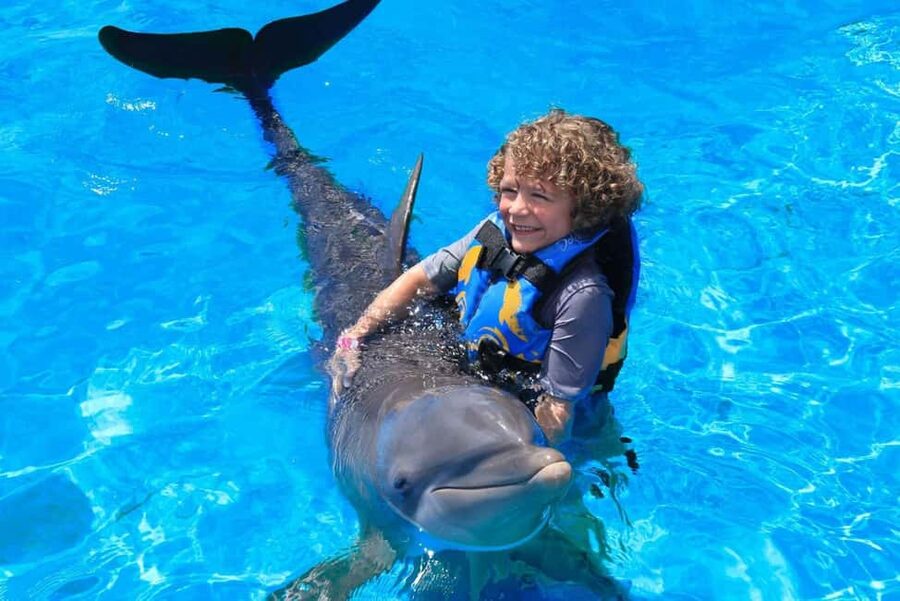 Punta Cana: Dolphin Interaction Experience & Hotel Transfers - Choosing the Right Program, From Platform Handshakes to a Two-Dolphin Swim