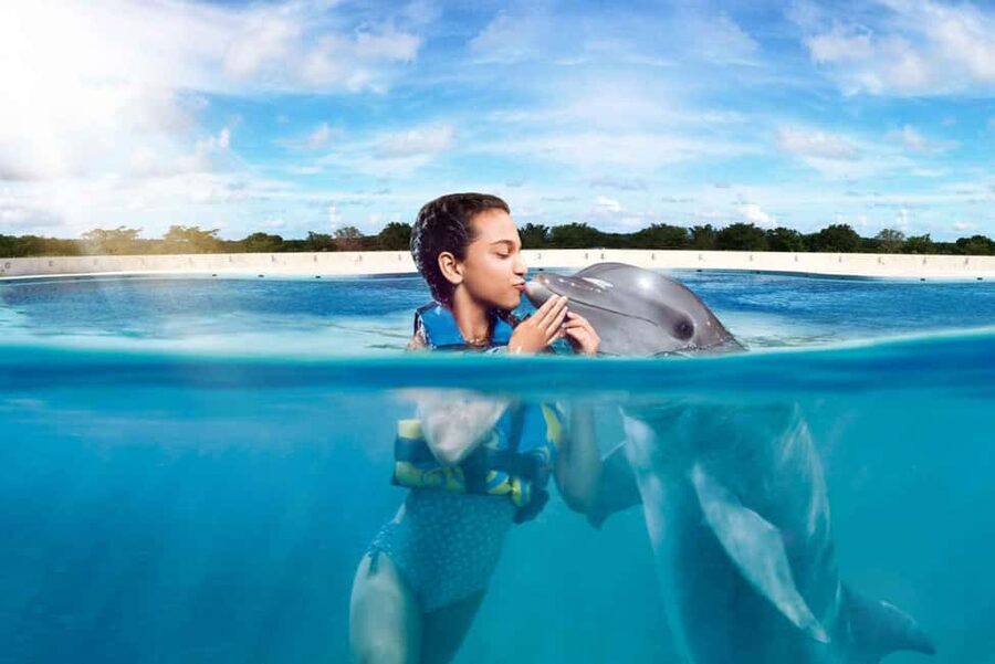 Punta Cana: Dolphin Interaction Experience & Hotel Transfers - Marine Specialists and Anatomy Lessons, What You Actually Learn