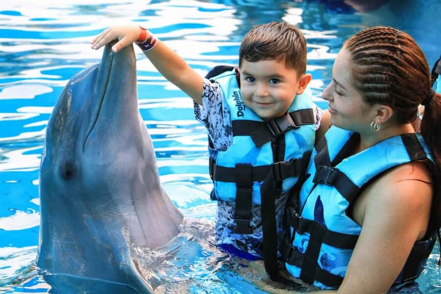 Punta Cana: Dolphin Interaction Experience & Hotel Transfers - What the Ray and Shark Tank Stop Adds to the Day