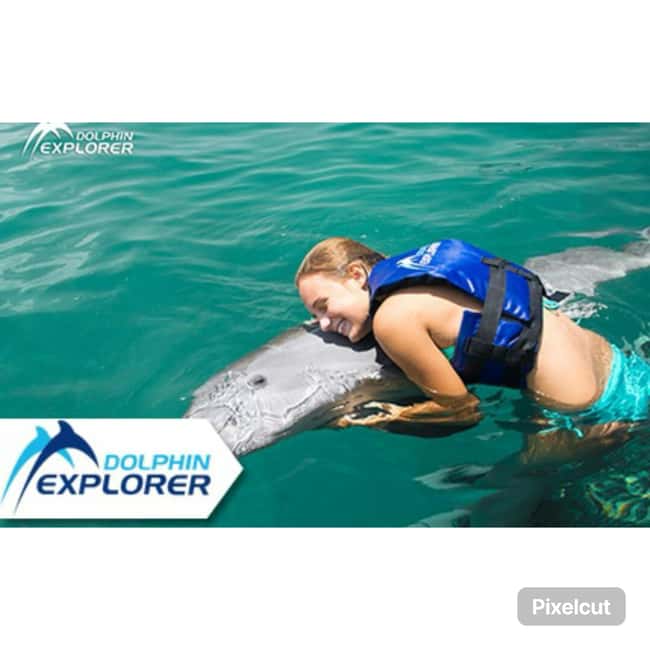 Punta Cana: Dolphin Park Entry and Swim with Dolphins - Punta Cana Dolphin Park: What You Really Get in 1 Hour