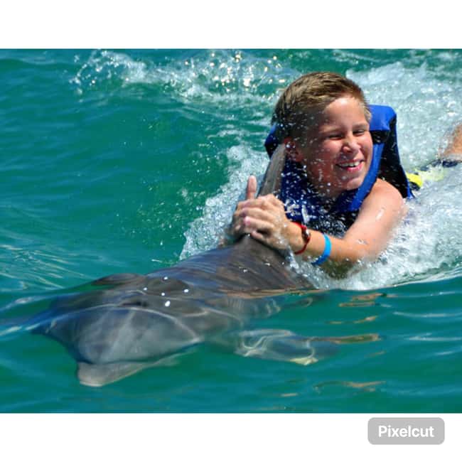 Punta Cana: Dolphin Park Entry and Swim with Dolphins - Meeting the Dolphins: Orientation, Safety, and Close Contact