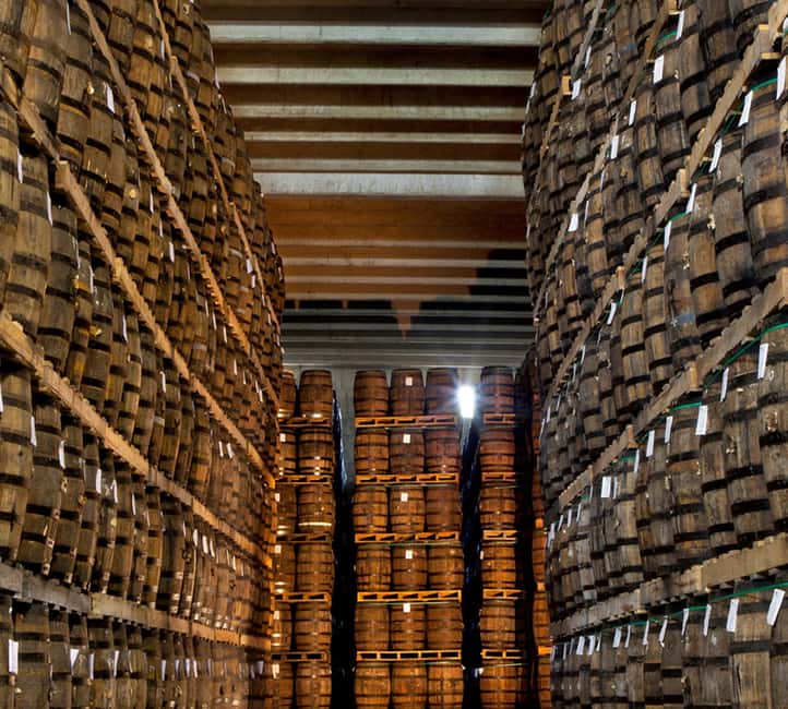 Punta Cana: Dominican Flavors Guided Day Trip - Entering Fabrica Vega Fina: from tobacco leaves to premium handmade cigars