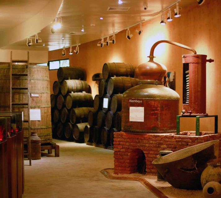 Punta Cana: Dominican Flavors Guided Day Trip - Ron Barceló Historic Center: aging aromas, barrels, and daily packaging