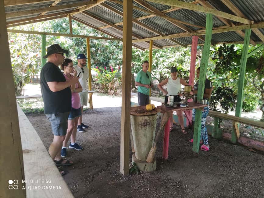 Punta Cana: Dominican Republic Culture Tour - Macao Beach free time: keep the pace slow at the end of the day