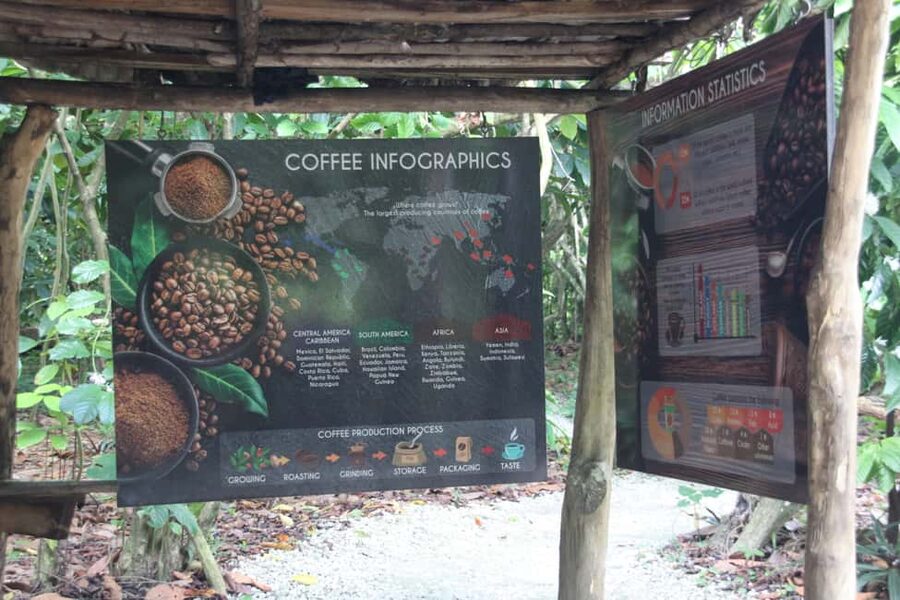 Punta Cana E-bike tour: Macao, El Salado, Ceiba, El Caño - Key highlights you should care about