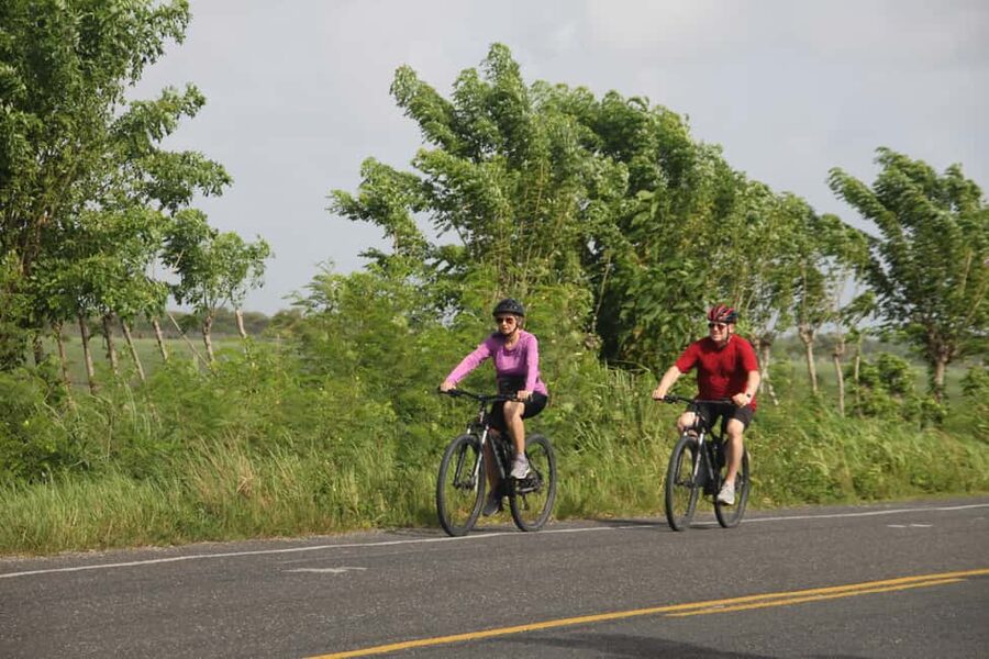 Punta Cana E-bike tour: Macao, El Salado, Ceiba, El Caño - A 15 km e-bike ride that starts in Macao and ends at Macao Beach
