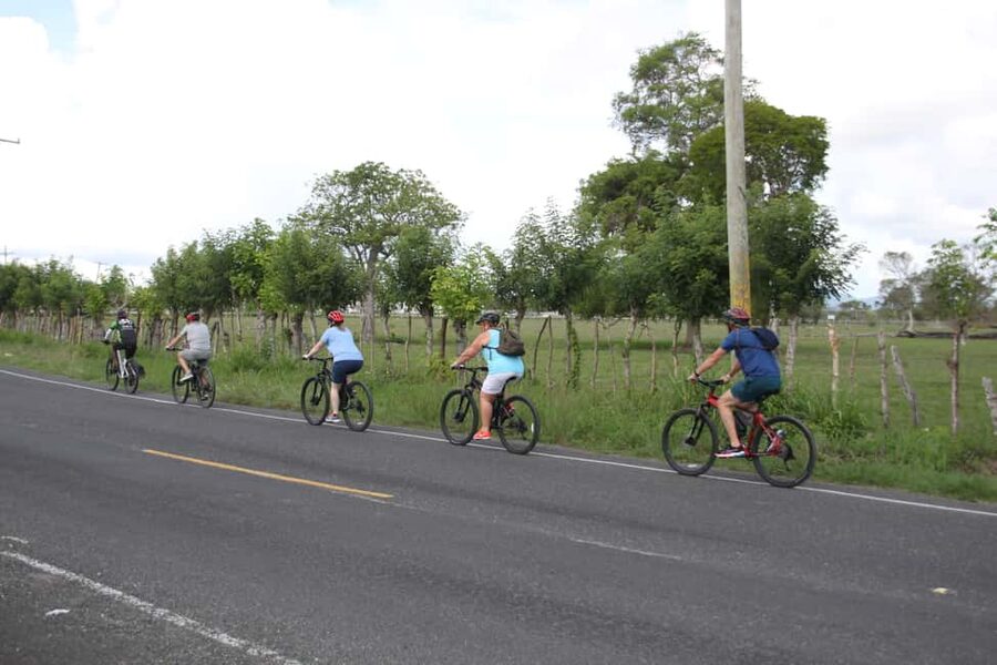 Punta Cana E-bike tour: Macao, El Salado, Ceiba, El Caño - Guide support, safety basics, and what to look for