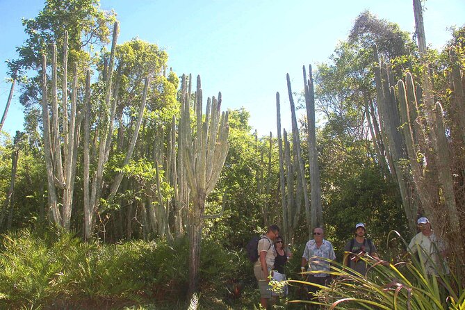 Punta Cana: Eco Jungle Tour - Punta Cana Eco Jungle Tour: What Makes It Feel Local