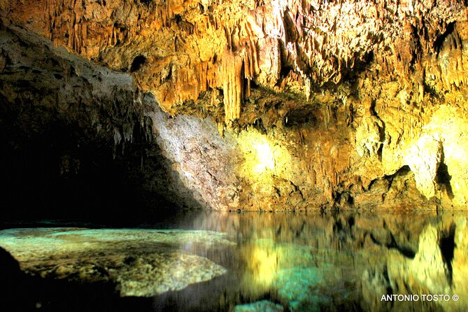 Punta Cana: Eco Jungle Tour - Bayahibe Finish and the Colmado Stop: End the Day Like a Local