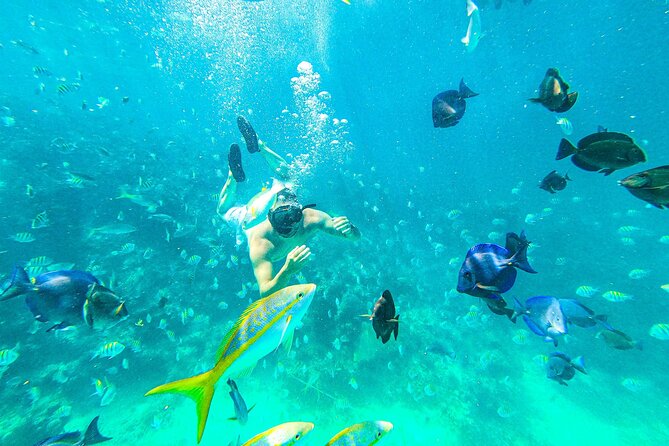 Punta Cana Exclusive Adults-Only Snorkel with Food and Drinks - Key takeaways before you book