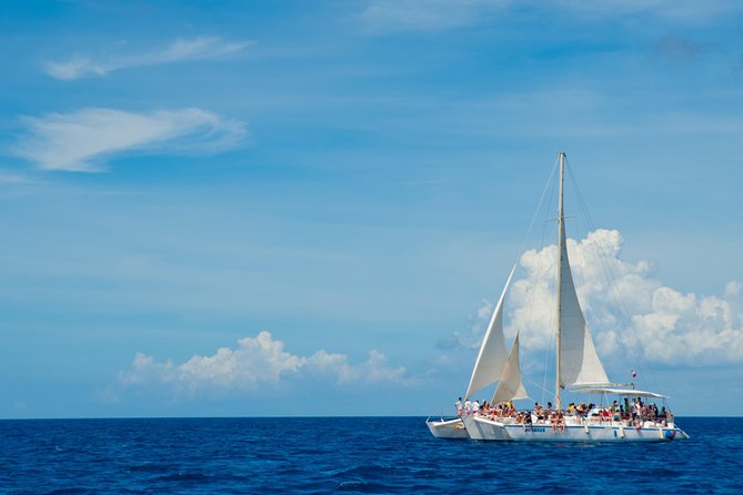 Punta Cana:Exclusive Private Tours for Groups of Up to 7 People - Lunch, open bar, and the value of food included