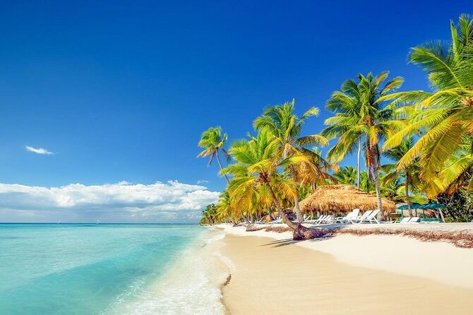 Punta Cana:Exclusive Private Tours for Groups of Up to 7 People - Who this Punta Cana Saona tour is for