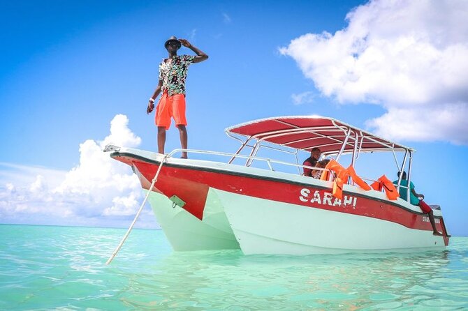 Punta Cana:Exclusive Private Tours for Groups of Up to 7 People - Should you book this Saona Island VIP tour?