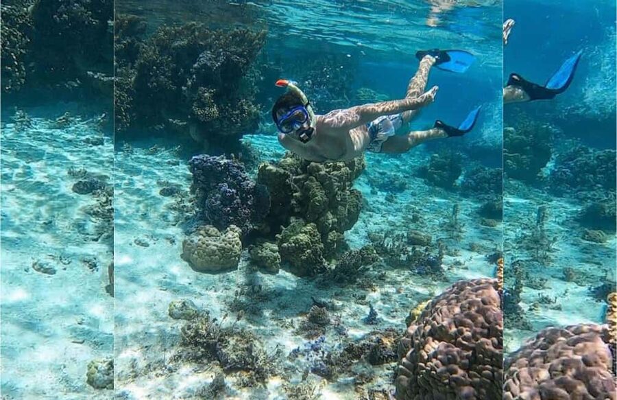 Punta Cana: Full-day Snorkelling Tour in Catalina Island - Key things I’d focus on before you go