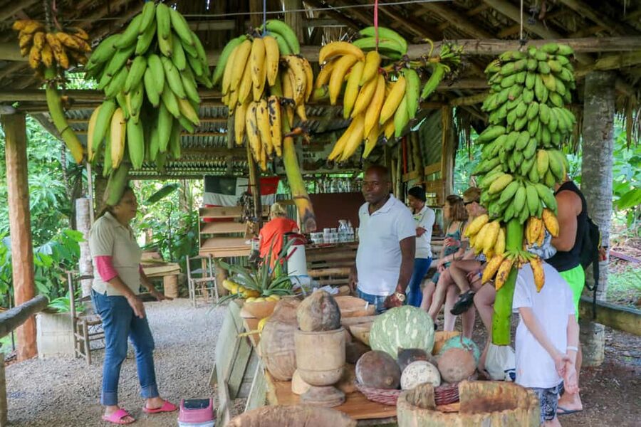 Punta Cana: Haitises, Cano Hondo, Redonda Mountain Day Trip - Key points worth knowing