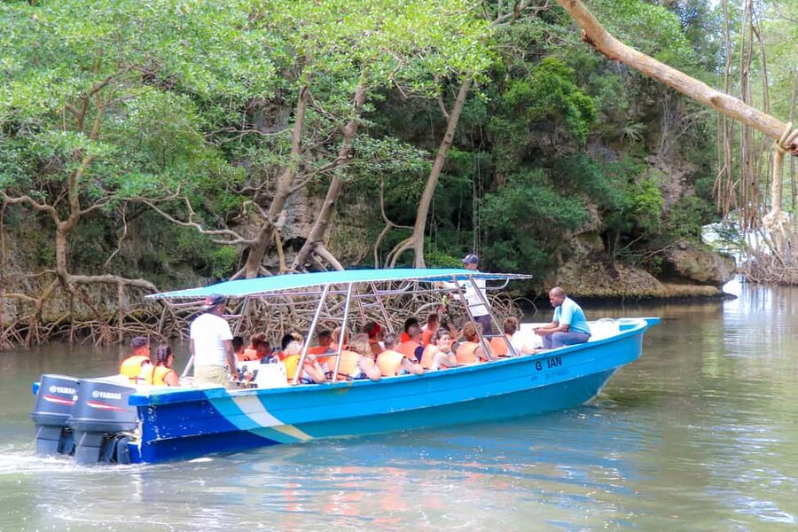 Punta Cana: Haitises, Cano Hondo, Redonda Mountain Day Trip - Taino Petroglyph Caves, and a Chance to See Bats