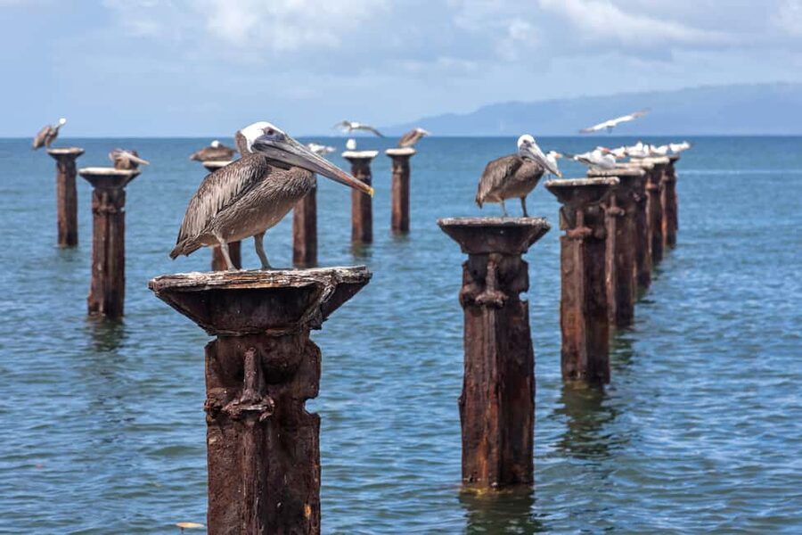Punta Cana: Haitises, Cano Hondo, Redonda Mountain Day Trip - Guide Style and Group Pace: Why People Feel Unrushed