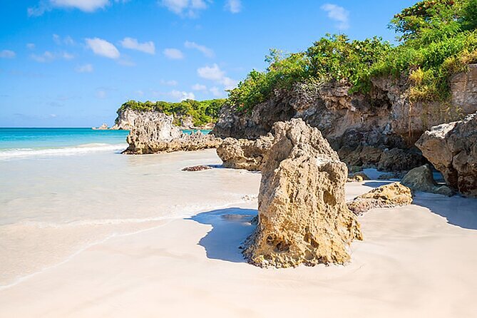 Punta Cana Half-Day Cultural Safari with Lunch and Drinks - Higüey Basilica: Panoramic Stops and a Big Cultural Anchor