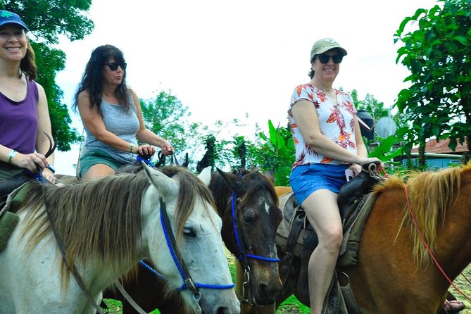 Punta Cana Half-Day Cultural Safari with Lunch and Drinks - Horse Riding and the River Ride: Fun, Not Exactly a Safari Adventure Movie