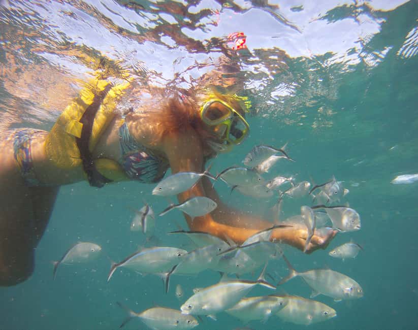 Punta Cana Happy Hour Sailing Cruise - From Hotel Pickup to Cabeza de Toro