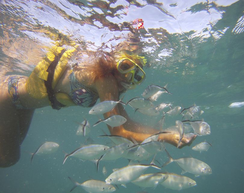 Punta Cana Happy Hour Sailing Cruise - Practical Tips So You Don’t Waste Time on the Day