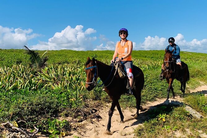 Punta Cana Horseback Ride: Jungle, Macao Beach & Free Pick Up - How the experience feels in real life: safety first, then scenery