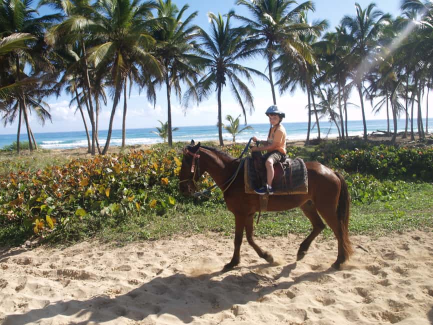 Punta Cana: Horseback Ride to Macao Beach - Two Hours From Your Hotel to Macao Beach on Horseback