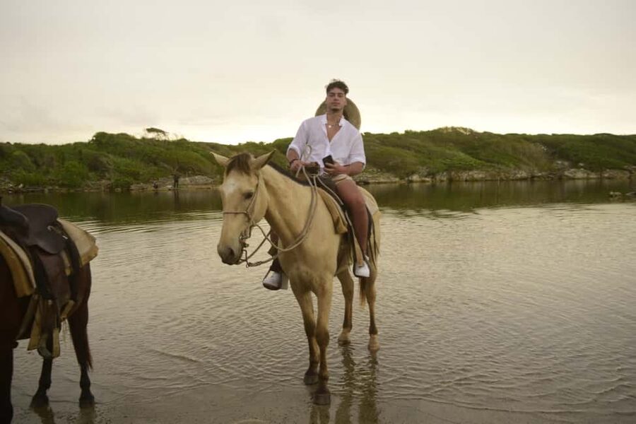 Punta Cana: Horseback Ride to Macao Beach - The Verdict: Should You Book Punta Cana Horseback to Macao Beach?