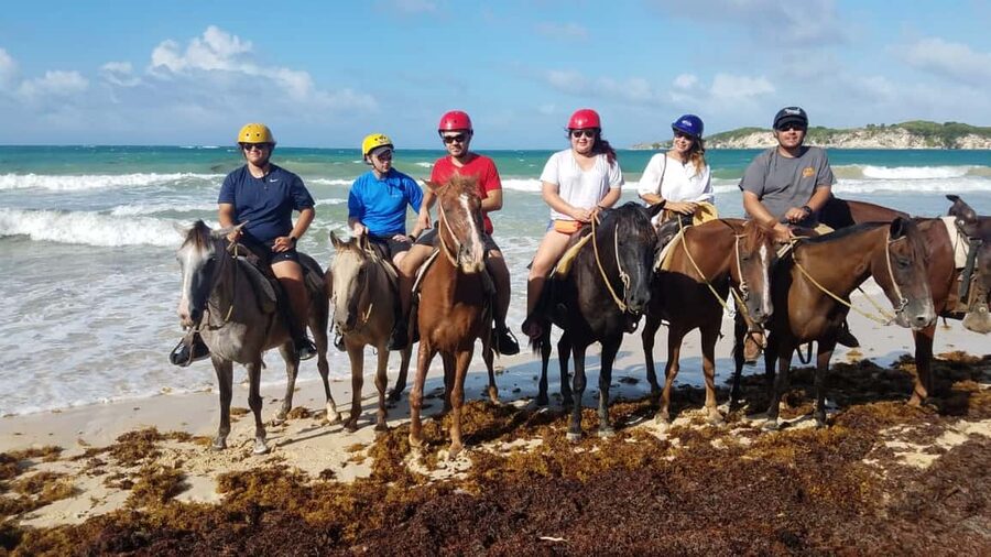Punta Cana: Horseback Ride to Macao Beach - What You Actually Do: Village, Forest, and Shore