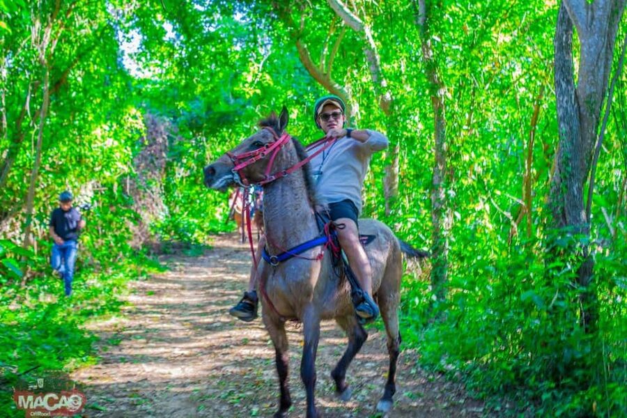Punta Cana Horseback riding & Sunset + beach + free pick-up - Key highlights you’ll actually care about