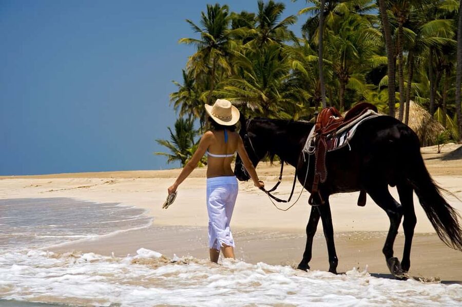 Punta Cana: Horseback Riding through Stunning Beaches - Entering the ranch, meeting your horse, and getting matched