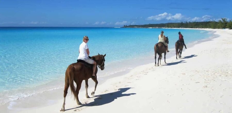Punta Cana: Horseback Riding through Stunning Beaches - The transition to Uvero Alto Beach: where the scenery changes fast