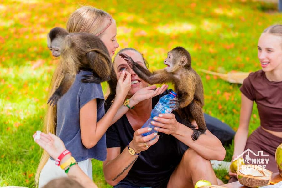 Punta Cana: Interactive Experience at Monkey House - Monkey House in Punta Cana: a 3-hour, up-close primate experience