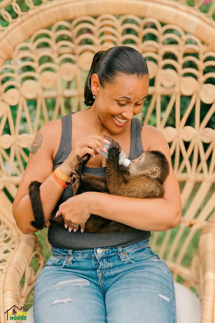 Punta Cana: Interactive Experience at Monkey House - The four monkey species you’ll meet up close