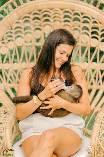 Punta Cana: Interactive Experience at Monkey House - Photo reality check: when you can shoot and how much souvenir photos cost