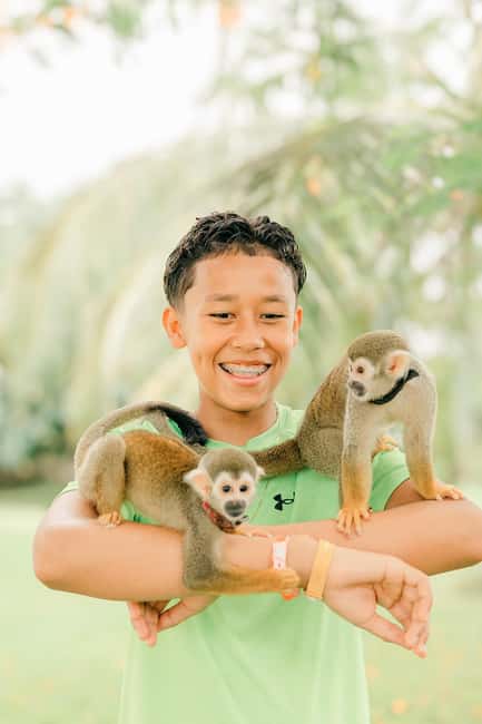 Punta Cana: Interactive Experience at Monkey House - The second activity and picnic stop: more relaxed monkey time