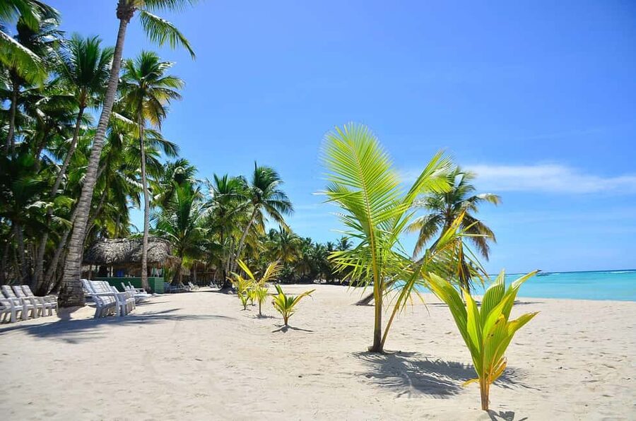 Punta cana: Island Escape to Saona • catamaran & Beach lunch - Key takeaways before you go