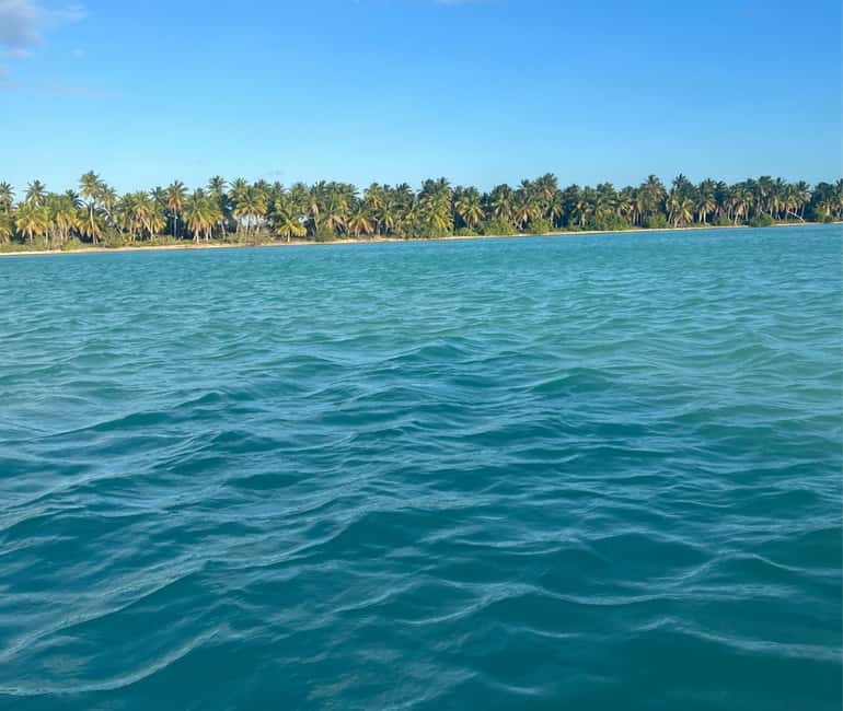 Punta cana: Island Escape to Saona • catamaran & Beach lunch - Price and value: is $59 a good deal?