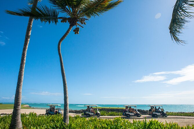 Punta Cana Lagoon Tour with Lunch, Boat Cruise, Open Bar - Snorkeling and the natural pool stop: what you can expect to see