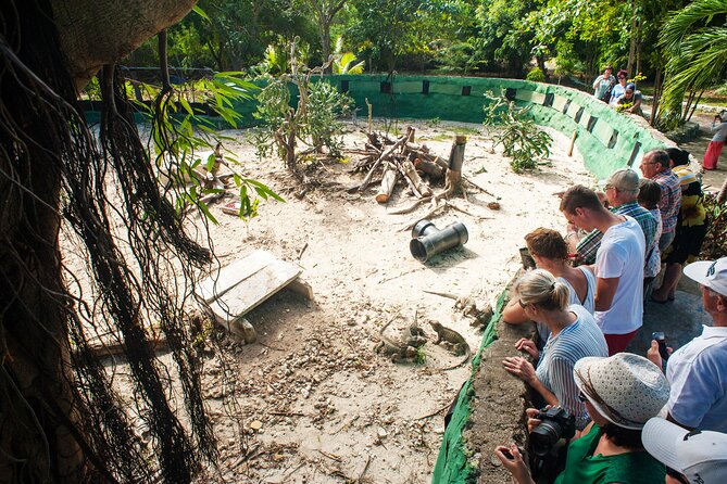 Punta Cana Lagoon Tour with Lunch, Boat Cruise, Open Bar - Getting there takes time: pickup, transfers, and why your day may run long