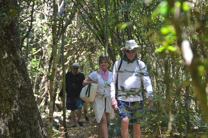 Punta Cana Lagoon Tour with Lunch, Boat Cruise, Open Bar - Who this tour fits best, and who should pass