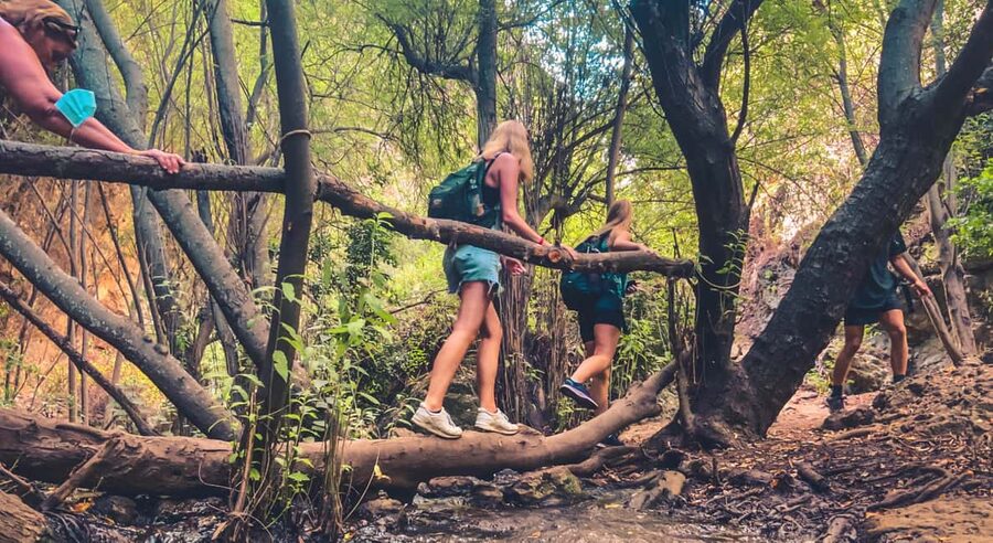 Punta Cana: Los Haitises Hike & Kayaking Mangroves - Key Things I’d Focus on Before You Go