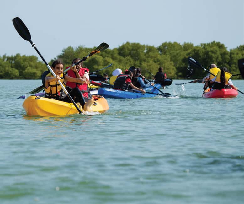 Punta Cana: Los Haitises Hike & Kayaking Mangroves - Kayaking Mangroves: Bird-Filled Swamps to San Lorenzo Bay