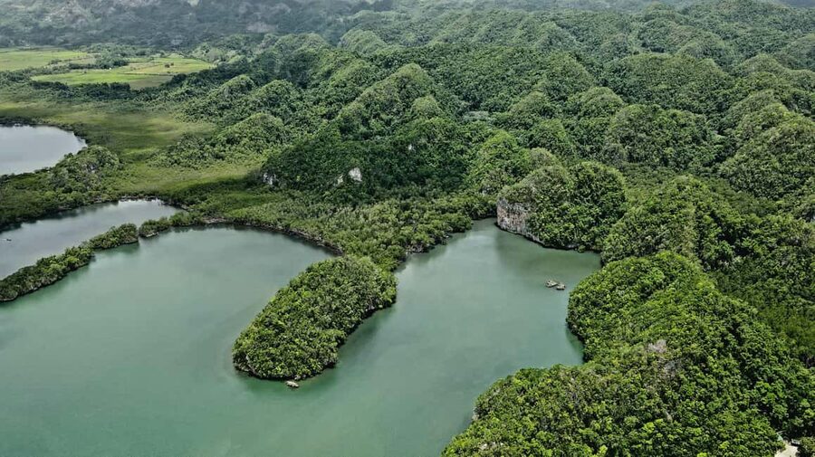 Punta Cana: Los Haitises Hike & Kayaking Mangroves - Guide and Group Experience: How the Day Feels in Motion