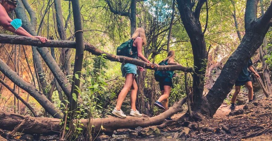 Punta Cana: Los Haitises Hike & Kayaking Mangroves - Who Should Book This Los Haitises Hike and Kayaking Tour