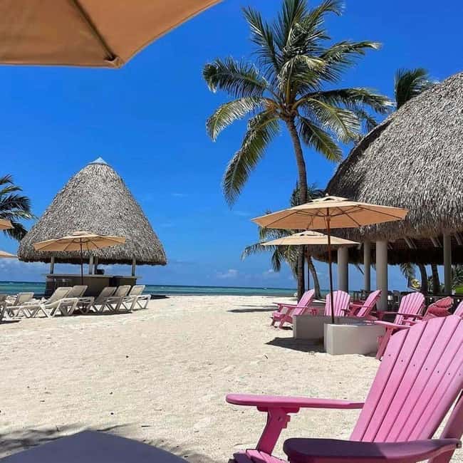 Punta Cana Luxury Snorkel & Beach Club Day at Playa Blanca - Playa Blanca Beach Club: white sand, calm water, and a proper lunch
