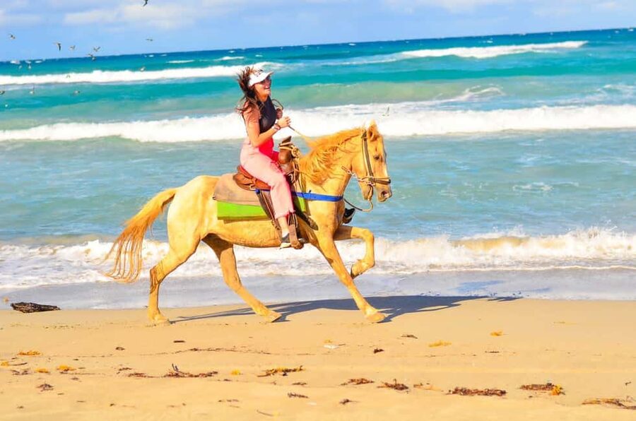 Punta Cana: Macao Beach & Forest Horseback Riding Tour - Macao Beach on Horseback: The Main Event With Real Conditions